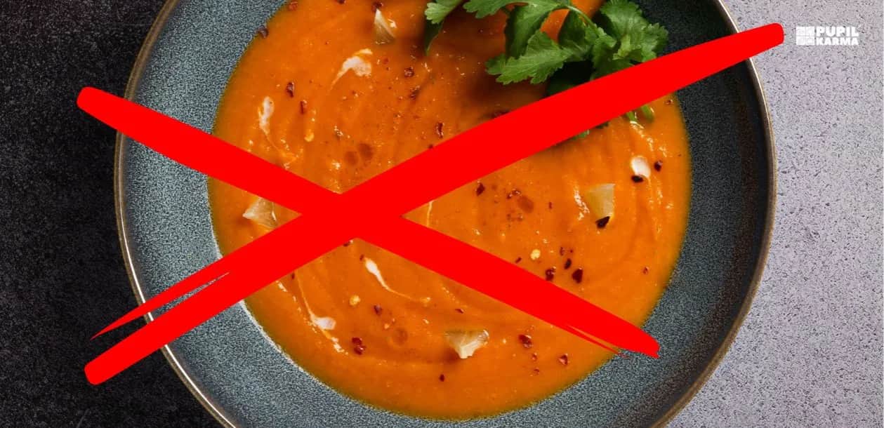 Czy pies może jeść zupę pomidorową? Poznaj toksyczne ryzyko!